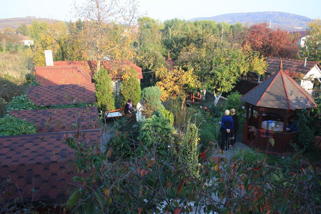 Fkoka Bed & Breakfast Berehove  Exterior photo